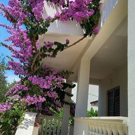 Pupa Apartmán *